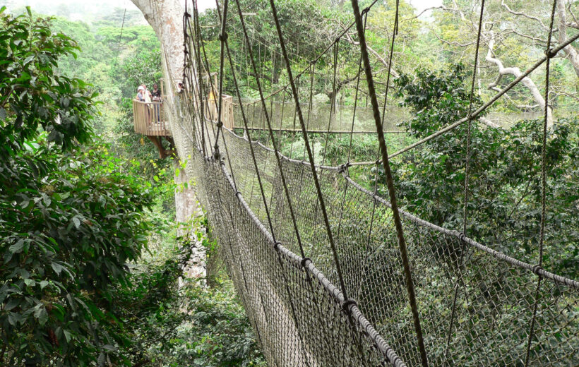 Kakum National Park - Canopy Adventure 🇬🇭
