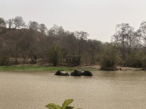 Mole National Park - Wildlife Safari 🇬🇭