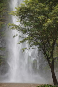 Wli Waterfalls – West Africa's Tallest Cascade 🇬🇭