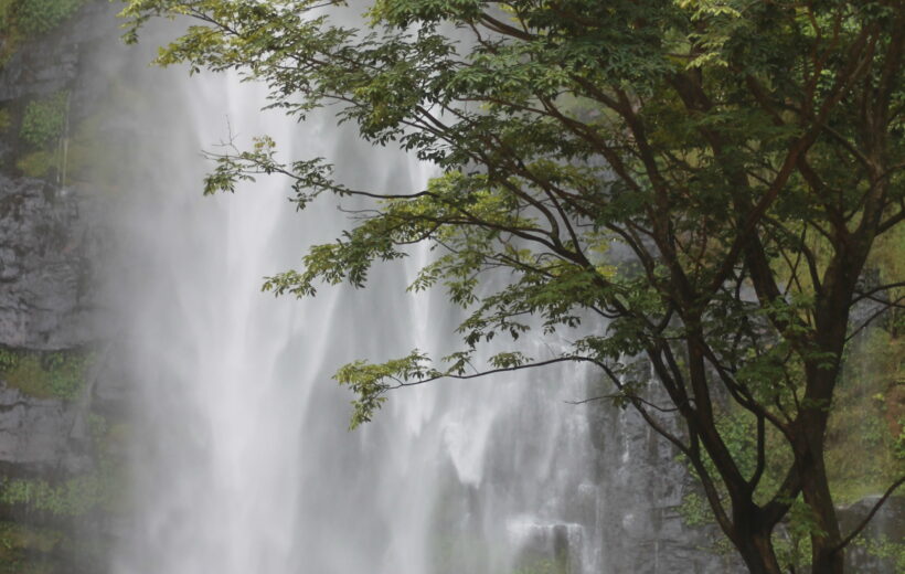 Wli Waterfalls – West Africa's Tallest Cascade 🇬🇭